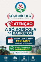 Feriado 